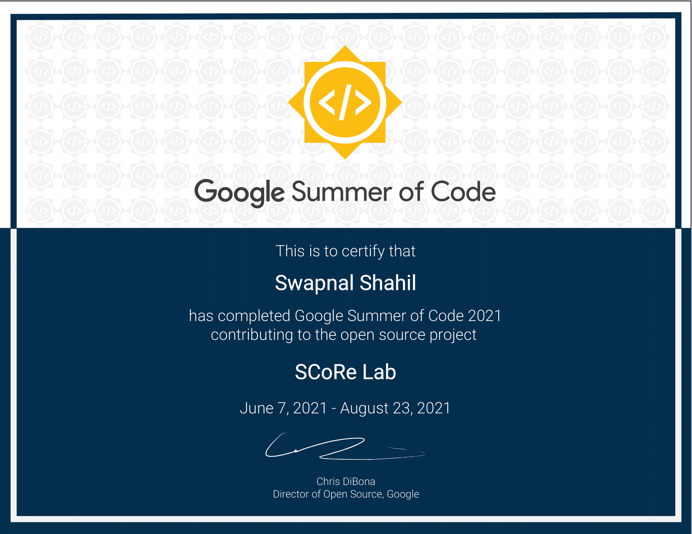 Software Developer